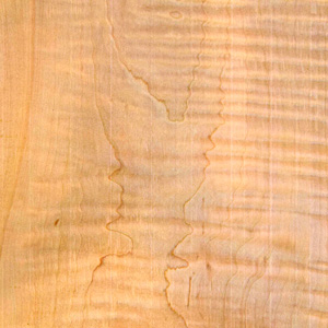 curly maple